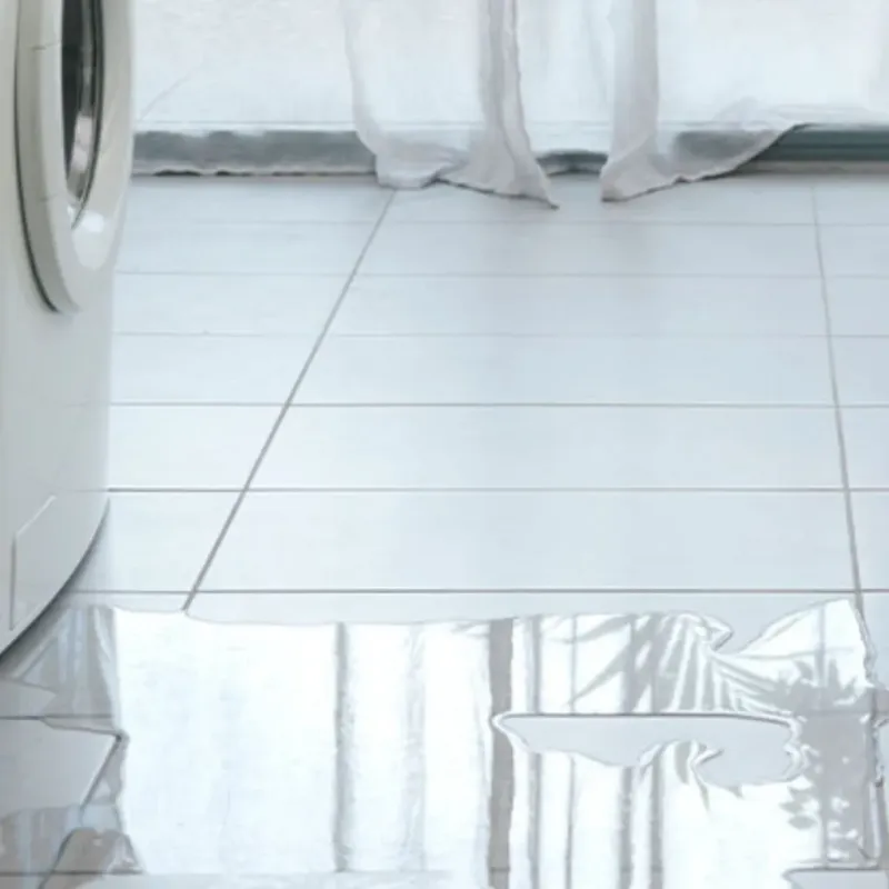 Appliance Leak Cleanup in Wilton Manors, FL