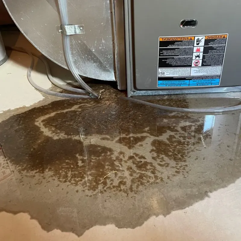 Pipe Burst and Leak Restoration in Wilton Manors, FL